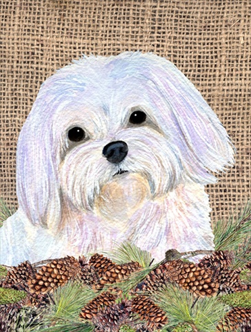 11 x 15 in. Maltese Garden Size Flag