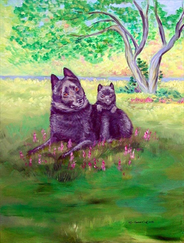 11 x 15 in. Schipperke Garden Size Flag