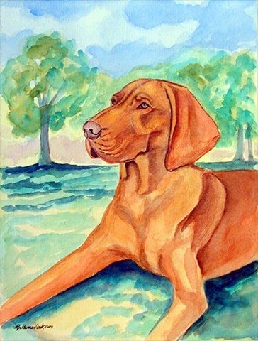 Vizsla House Size Canvas Flag