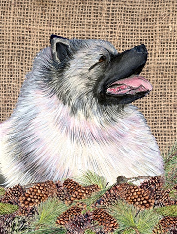28 x 40 in. Keeshond House Size Canvas Flag