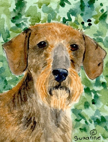 11 x 15 in. Dachshund Garden Size Flag