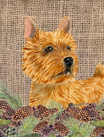 11 x 15 In. Norwich Terrier Flag, Garden Size