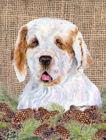 28 x 40 In. Clumber Spaniel Flag Canvas, House Size