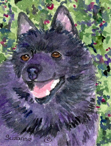 Picture of Carolines Treasures SS8822CHF 28 x 40 In. Schipperke Flag Canvas- House Size