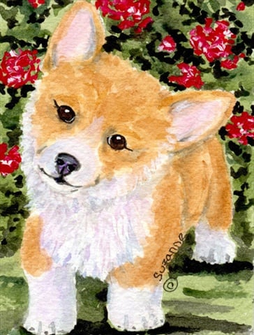11 x 15 In. Corgi Flag, Garden Size