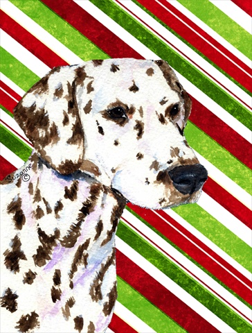 Picture of Carolines Treasures SS4538CHF 28 x 40 In. Dalmatian Candy Cane Holiday Christmas Flag Canvas- House Size