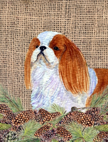 English Toy Spaniel Flag Canvas- House Size