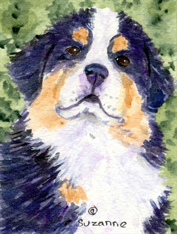 11 x 15 In. Bernese Mountain Dog Flag, Garden Size