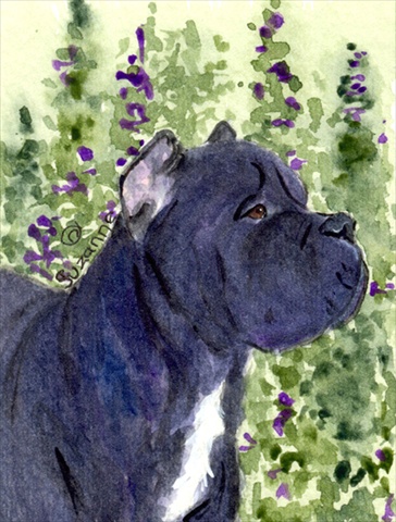 Picture of Carolines Treasures SS8841CHF 28 x 40 In. Cane Corso Flag Canvas- House Size