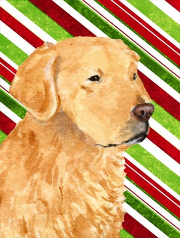 Picture of Carolines Treasures SS4545CHF 28 x 40 In. Golden Retriever Candy Cane Holiday Christmas Flag Canvas- House Size