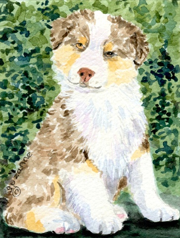 11 x 15 In. Australian Shepherd Flag, Garden Size