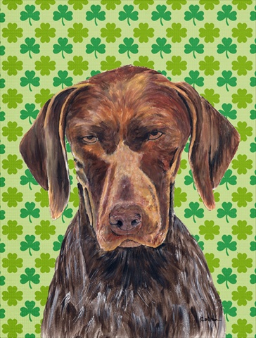 15 x 15 In. German Shorthaired Pointer St. Patricks Day Shamrock Portrait Flag, Garden Size