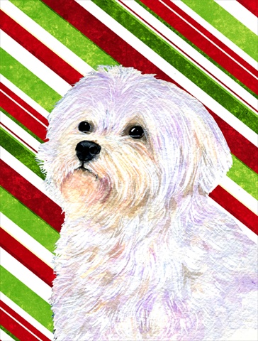 Picture of Carolines Treasures SS4550CHF 28 x 40 In. Maltese Candy Cane Holiday Christmas Flag Canvas- House Size