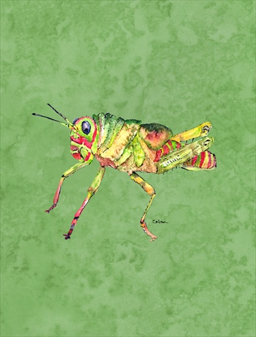 11 x 15 In. Grasshopper On Avacado Flag, Garden Size