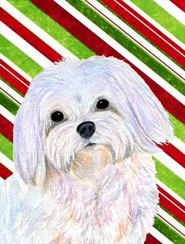 Picture of Carolines Treasures SS4551CHF 28 x 40 In. Maltese Candy Cane Holiday Christmas Flag Canvas- House Size
