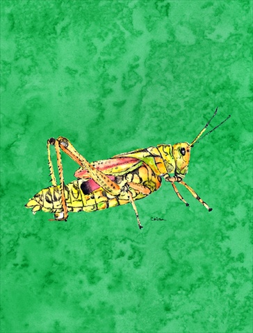 11 x 15 In. Grasshopper On Green Flag, Garden Size