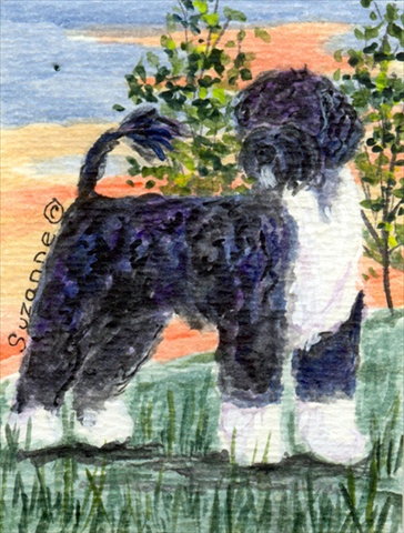 Picture of Carolines Treasures SS8855CHF 28 x 40 In. Portuguese Water Dog Flag Canvas- House Size