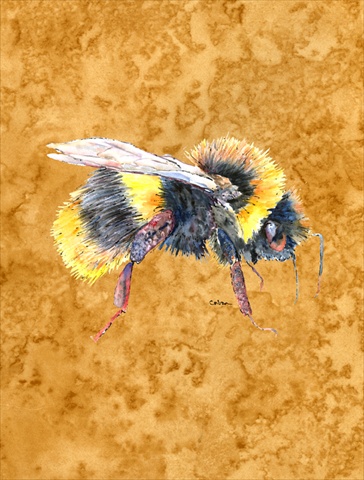 Bee On Gold Flag Canvas- House Size