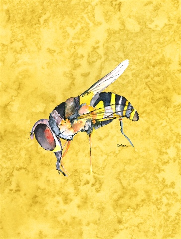 Bee On Yellow Flag Canvas - House Size