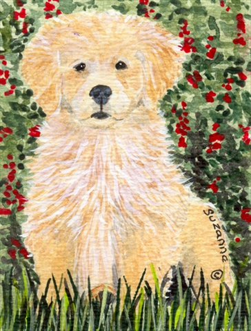 Golden Retriever Flag- Garden Size