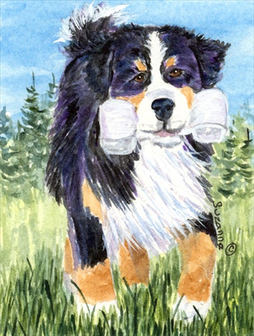 Picture of Carolines Treasures SS8860CHF 28 x 40 In. Bernese Mountain Dog Flag Canvas- House Size