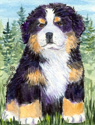 11 x 15 In. Bernese Mountain Dog Flag, Garden Size