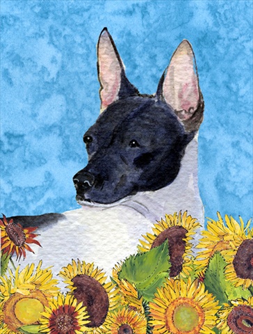 28 x 40 In. Rat Terrier Flag Canvas, House Size