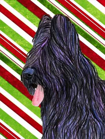 Picture of Carolines Treasures SS4558CHF 28 x 40 In. Briard Candy Cane Holiday Christmas Flag Canvas- House Size