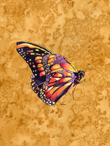 Butterfly On Gold Flag Canvas- House Size