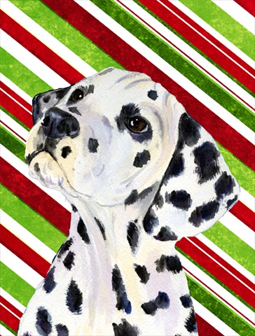 Picture of Carolines Treasures SS4561CHF 28 x 40 In. Dalmatian Candy Cane Holiday Christmas Flag Canvas- House Size