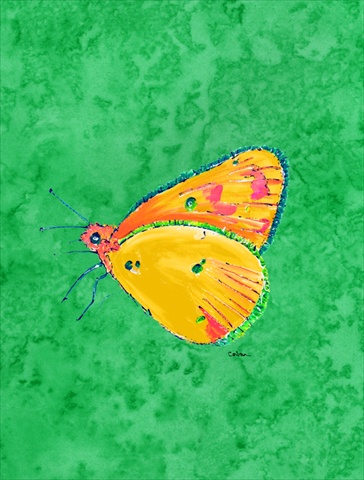11 x 15 In. Butterfly Orange On Green Flag, Garden Size