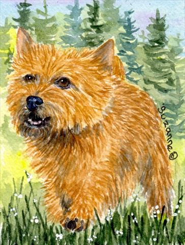Picture of Carolines Treasures SS8878CHF 28 x 40 In. Norwich Terrier Flag Canvas- House Size