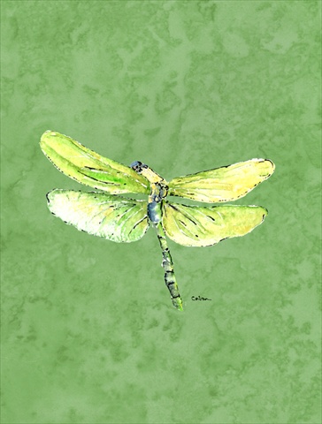 Dragonfly On Avacado Flag- Garden Size