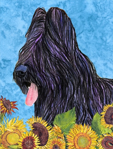 Picture of Carolines Treasures SS4123CHF 28 x 40 In. Briard Flag Canvas- House Size