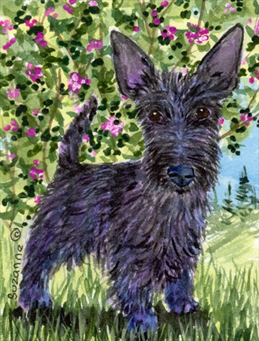 11 x 15 In. Scottish Terrier Flag, Garden Size
