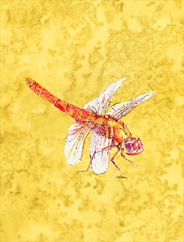 28 x 40 In. Dragonfly On Yellow Flag Canvas, House Size