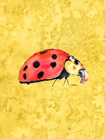 28 x 40 In. Lady Bug On Yellow Flag Canvas, House Size