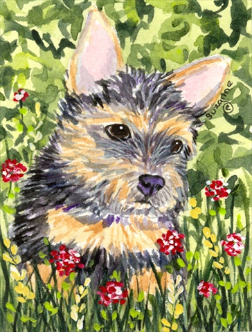 Picture of Carolines Treasures SS8893CHF 28 x 40 In. Norwich Terrier Flag Canvas- House Size