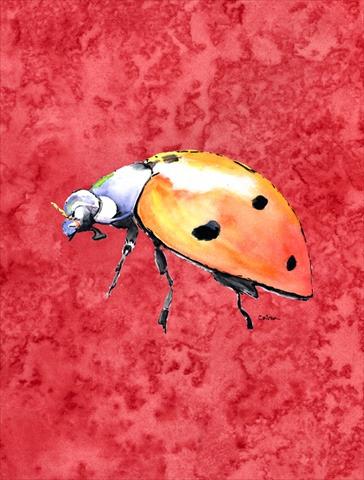 Lady Bug On Red Flag Canvas - House Size