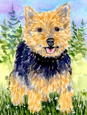 Picture of Carolines Treasures SS8894CHF 28 x 40 In. Norwich Terrier Flag Canvas- House Size