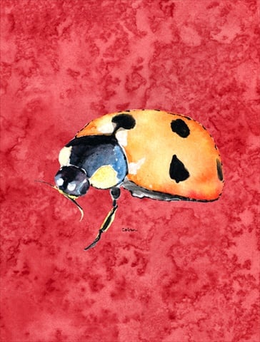 11 x 15 In. Lady Bug On Red Flag, Garden Size