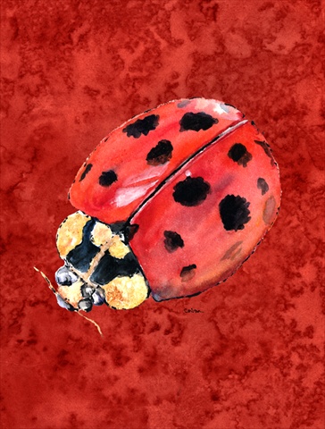 Lady Bug On Deep Red Flag Canvas- House Size