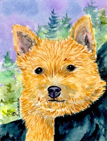 Picture of Carolines Treasures SS8905CHF 28 x 40 In. Norwich Terrier Flag Canvas- House Size