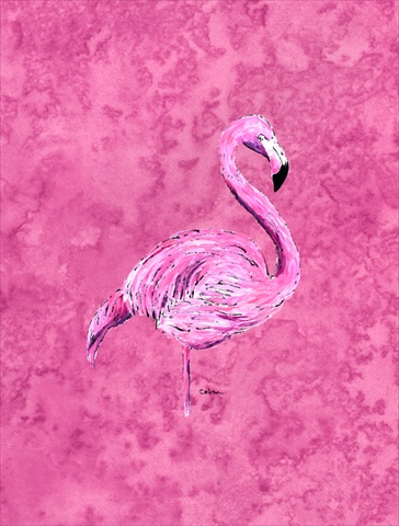 28 x 40 In. Flamingo On Pink Flag Canvas- House Size