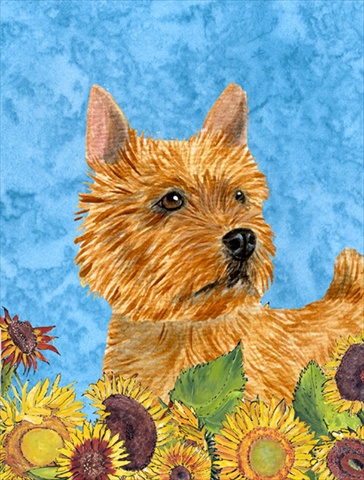 Picture of Carolines Treasures SS4132CHF 28 x 40 In. Norwich Terrier Flag Canvas- House Size