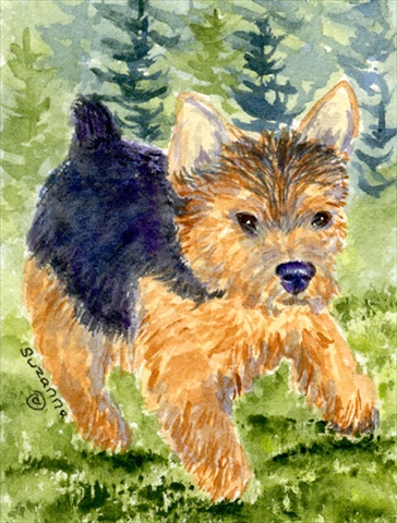 Picture of Carolines Treasures SS8907CHF 28 x 40 In. Norwich Terrier Flag Canvas- House Size