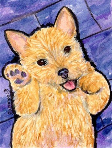 Picture of Carolines Treasures SS8911CHF 28 x 40 In. Norwich Terrier Flag Canvas- House Size