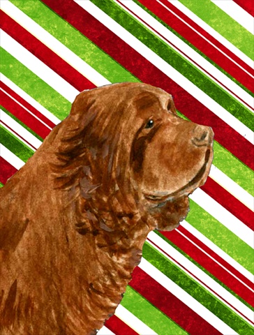 Picture of Carolines Treasures SS4579CHF 28 x 40 In. Sussex Spaniel Candy Cane Holiday Christmas Flag Canvas- House Size