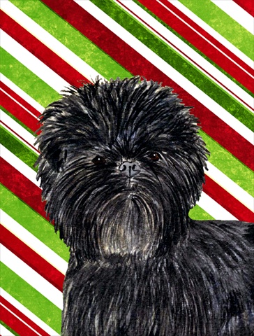 Picture of Carolines Treasures SS4580CHF 28 x 40 In. Affenpinscher Candy Cane Holiday Christmas Flag Canvas- House Size