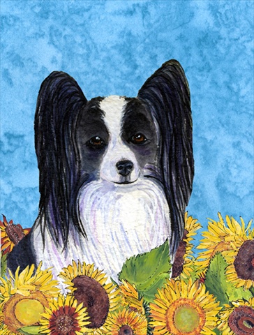 Picture of Carolines Treasures SS4138CHF 28 x 40 In. Papillon Flag Canvas- House Size